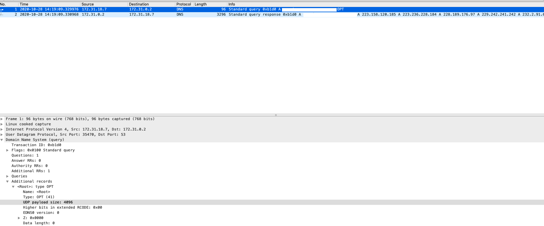Request with EDNS0 (Query)